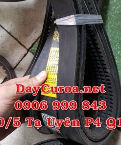 Dây curoa Alpha Power Belt 3R-3V700-1