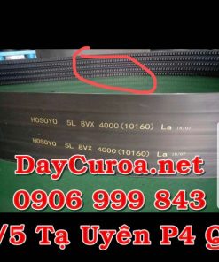 Dây curoa Alpha Power Belt 5L-8VX4000(10160)La
